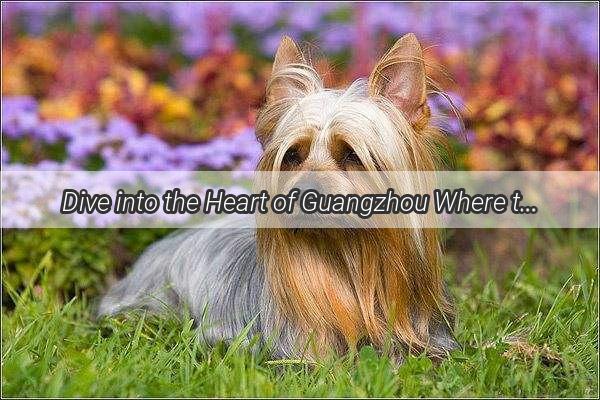 Dive into the Heart of Guangzhou Where the Canine Market Thrives